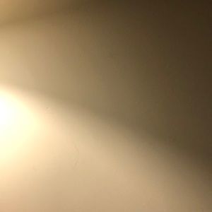 Meet your Posher, Rickey